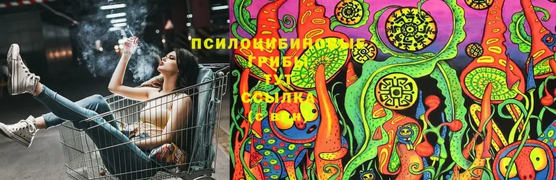 Псилоцибиновые грибы Magic Shrooms  Весьегонск 